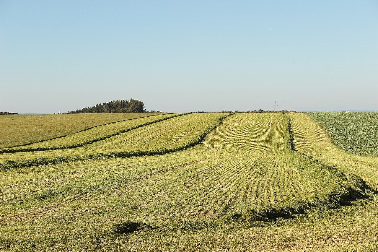 How Blockchain Can Empower Local Farmers and Producers